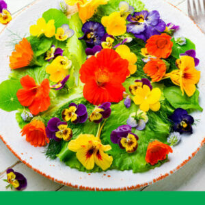 Oog voor alles wat leeft